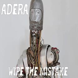 Wipe the Mistake