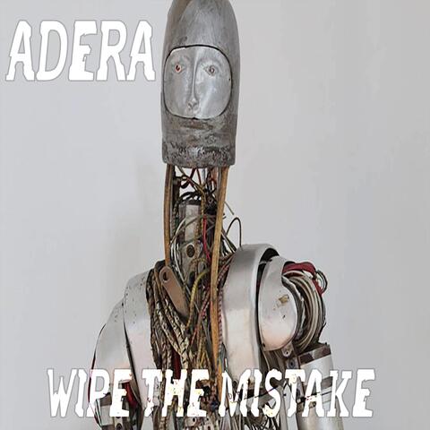 Wipe the Mistake