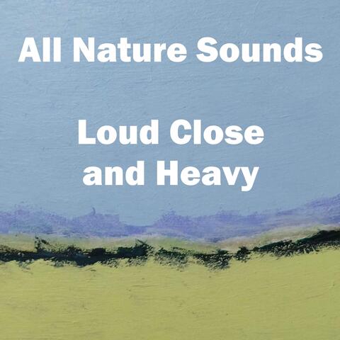 Loud Close and Heavy