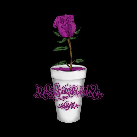 Rosas Cor de Lean
