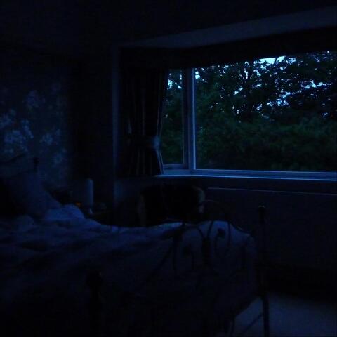 Talking in Your Sleep