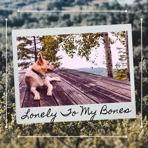 Lonely to My Bones
