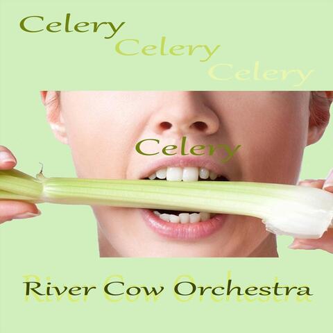 Celery