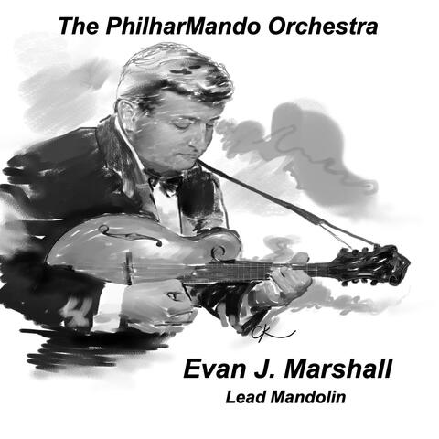 The Philharmando Orchestra