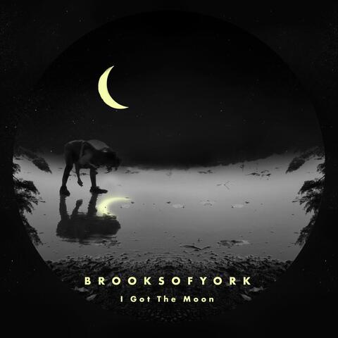I Got the Moon