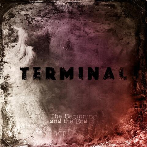 Terminal