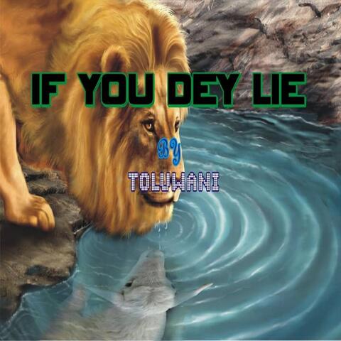 If You Dey Lie