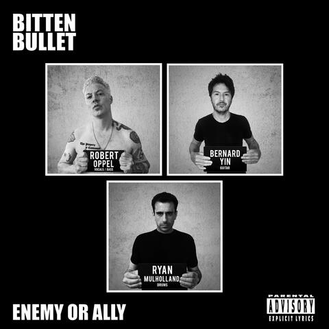 Enemy or Ally
