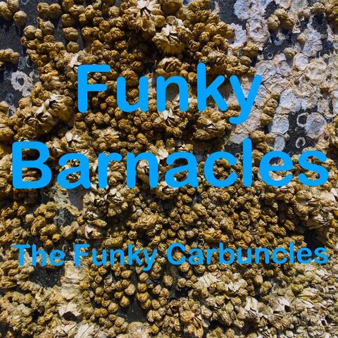 Funky Barnacles