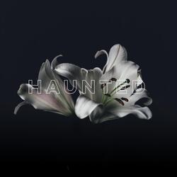 Haunted