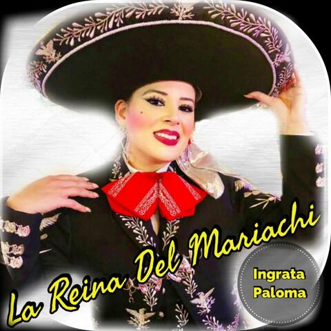 Ingrata Paloma