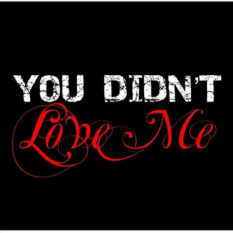 You Didn’t Love Me