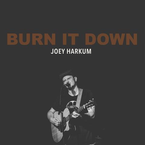 Burn It Down