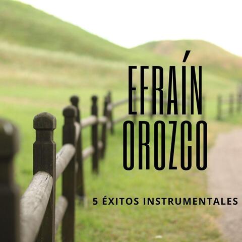 5 Éxitos Instrumentales