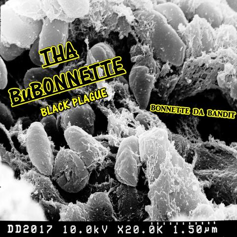 Tha Bubonnette (Black Plague)