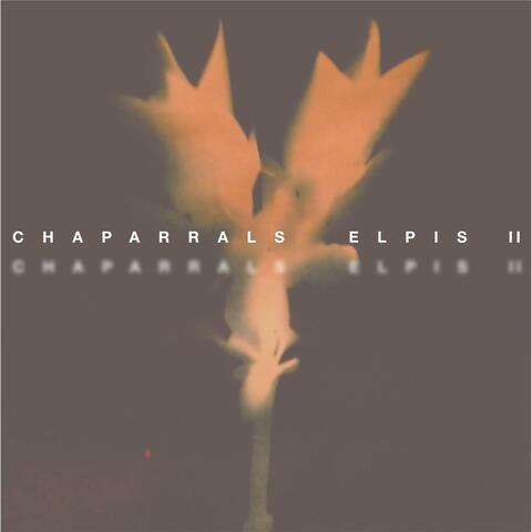Elpis II