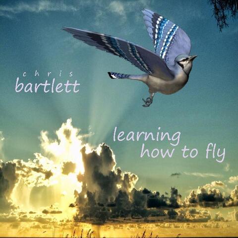 Learning How to Fly