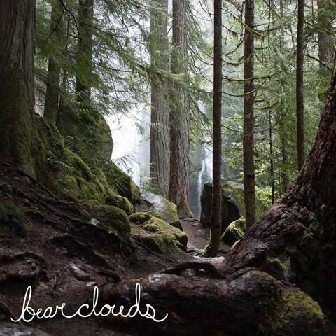 Bear Clouds 2