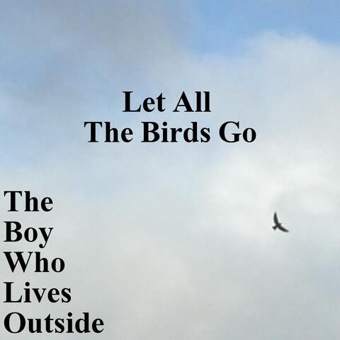 Let All the Birds Go