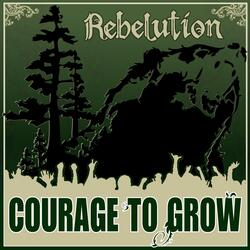 Listen Free To Rebelution Heart Like A Lion Radio Iheartradio