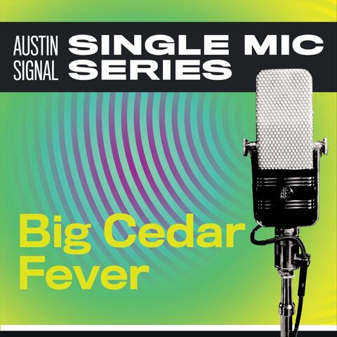Single Mic Series