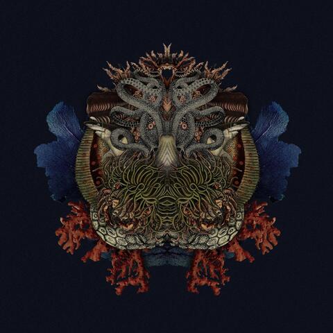 Kraken
