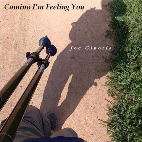 Camino I'm Feeling You
