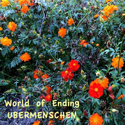 World of Ending