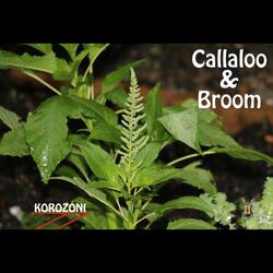 Callaloo and Broom
