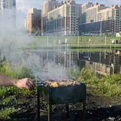 Родился, потерпел и умер