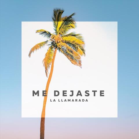 Me Dejaste