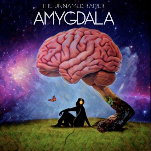 Amygdala