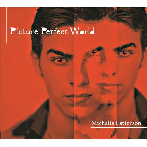 Picture Perfect World
