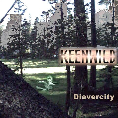 Dievercity
