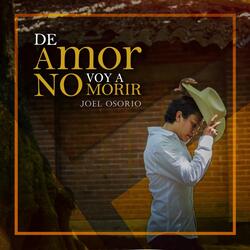 De Amor No Voy a Morir