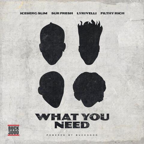 What You Need