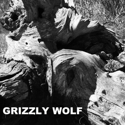 Grizzly Wolf