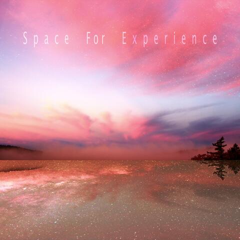 Space for Experience