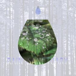 Birth of Rain