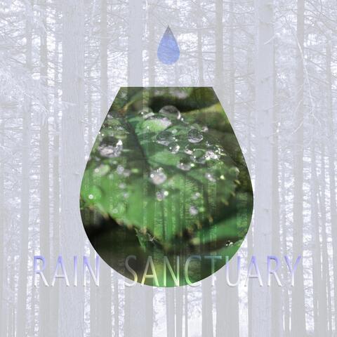 Rain Sanctuary