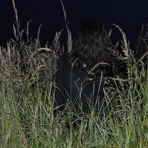 Night