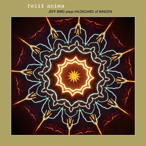 Felix Anima