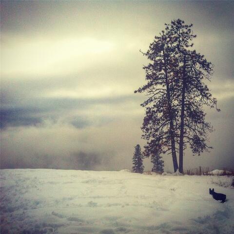 For Brothers & Forefathers