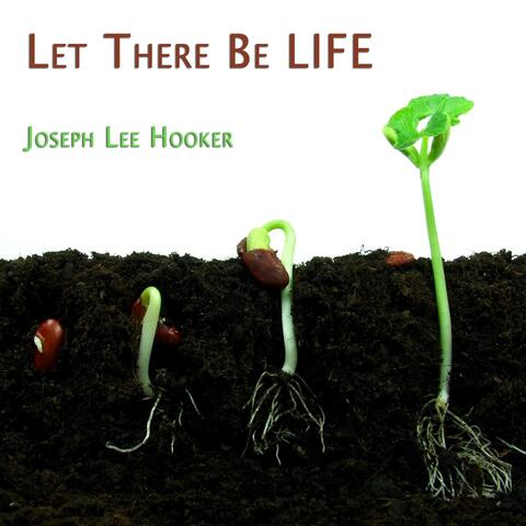Joseph Lee Hooker