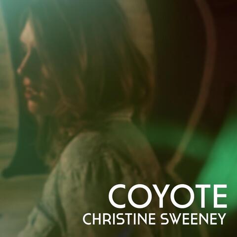 Coyote