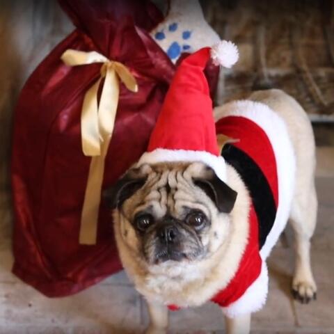Have Yourself a Merry Little Christmas