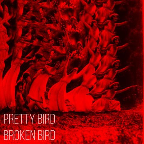 Pretty Bird, Broken Bird