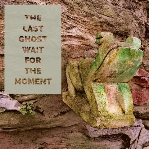 Wait for the Moment