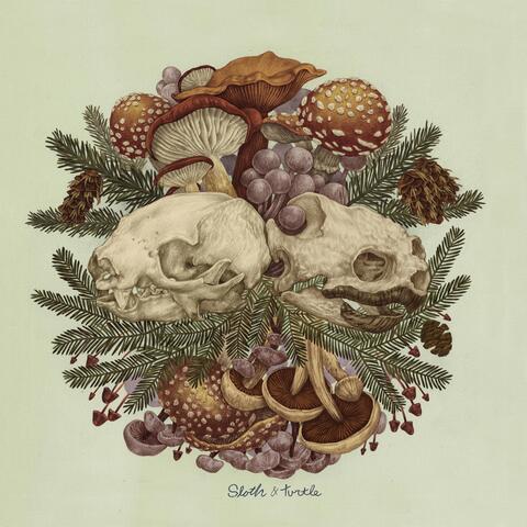 Sloth & Turtle