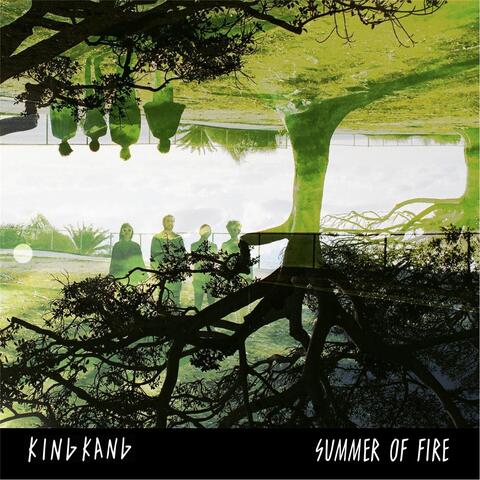 Summer of Fire